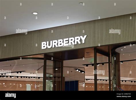 burberry luxury china